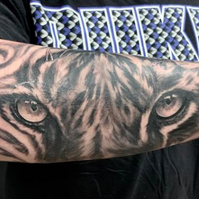 Tattoos - Tiger Eyes - 142420